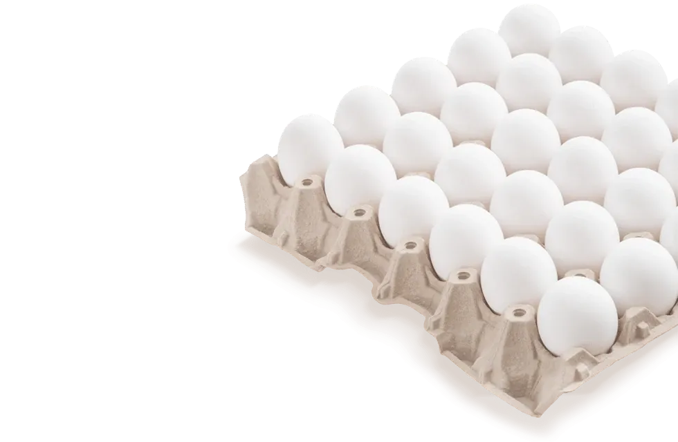 Egg Tray